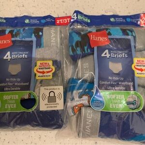 Hanes Boys' Tagless Briefs - Blue and Gray (2 packs)